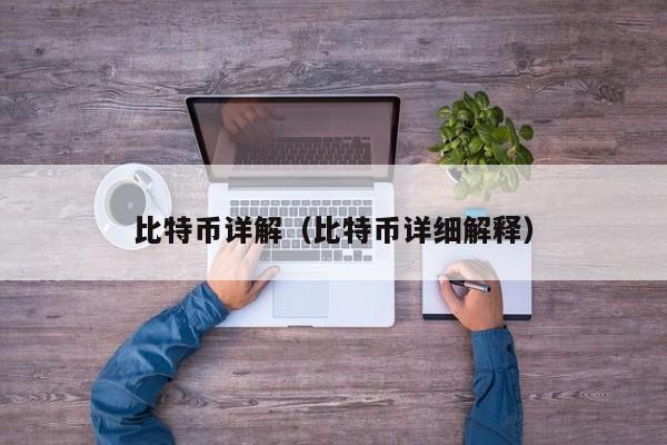 比特币详解(比特币详细解释)