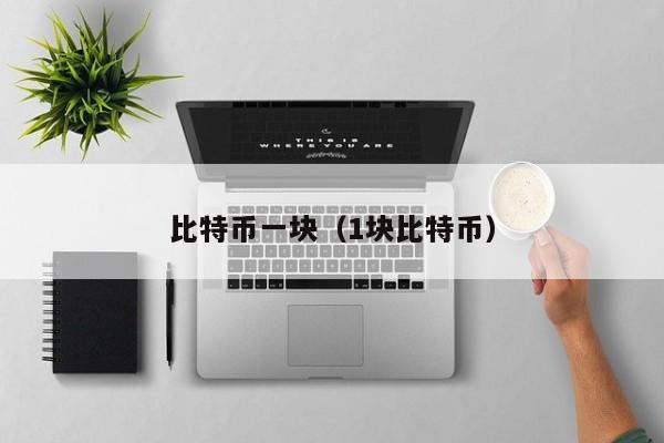 比特币一块(1块比特币)