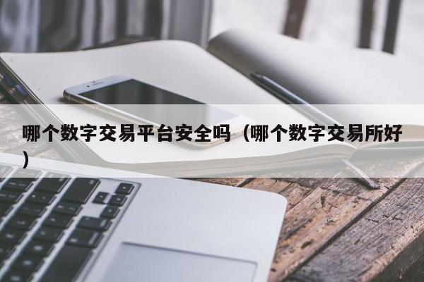 哪个数字交易平台安全吗(哪个数字交易所好)